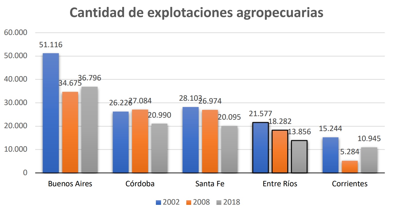 Grafico 1