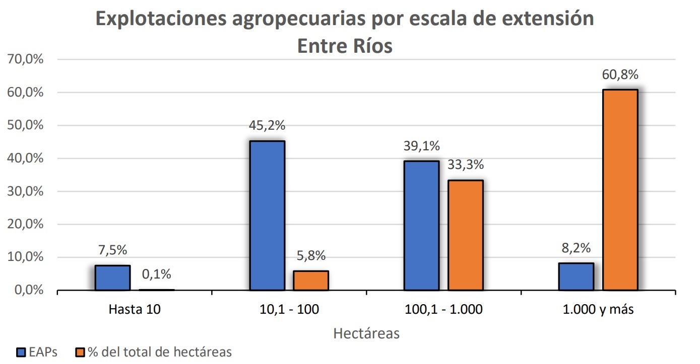 Grafico 3